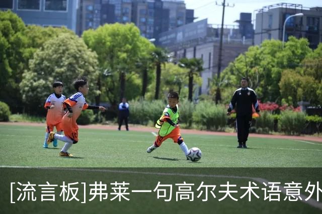 [流言板]弗莱一句高尔夫术语意外变双关，老詹秒喊停：话可不能乱说